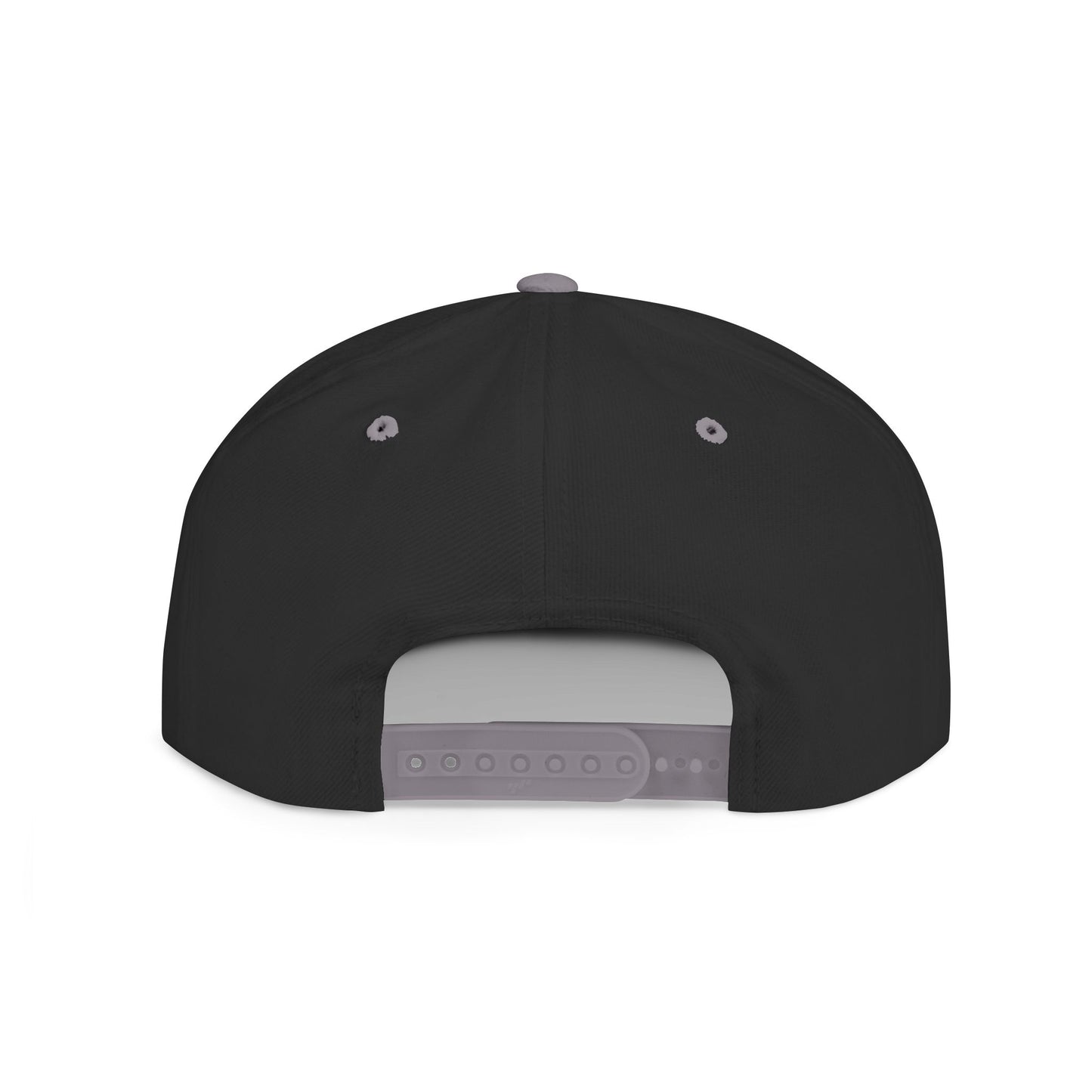 Make Access Great Again Parody Snapback Hat