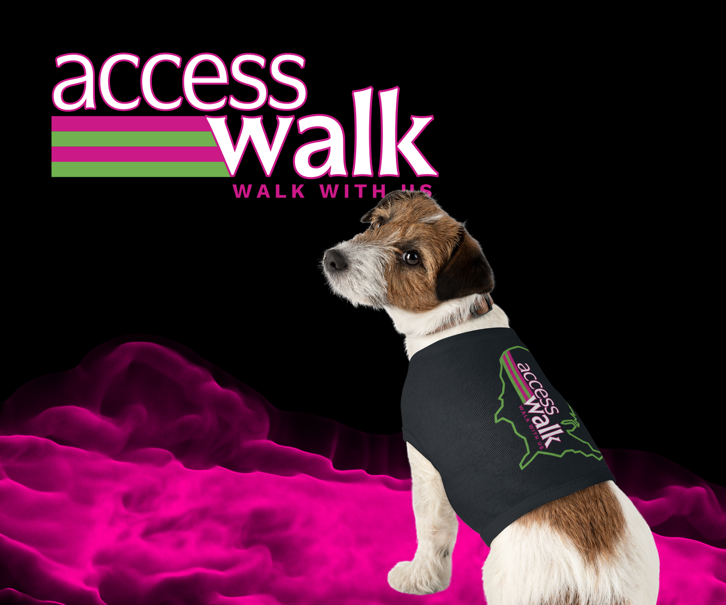 Access Walk Pet Shirt