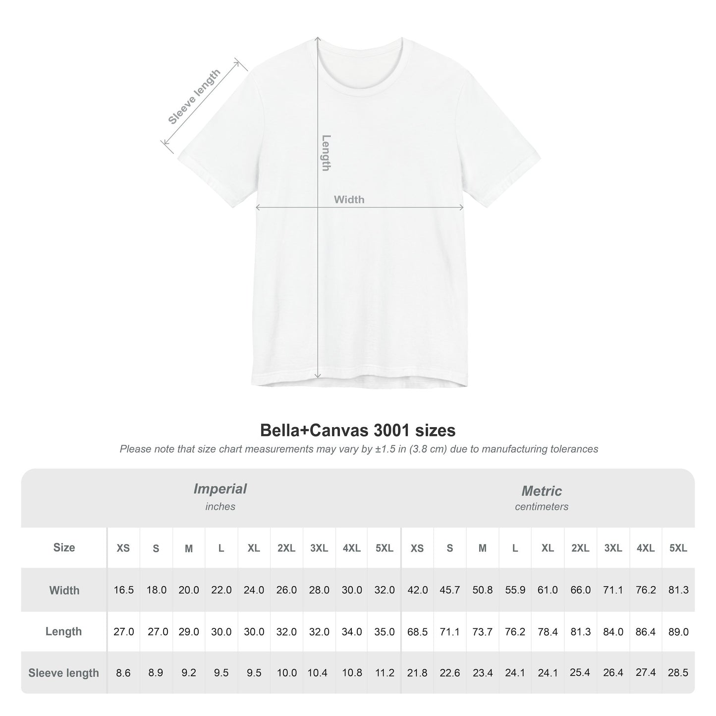 Access Walk: Seattle to D.C. 2025 Unisex T-Shirt