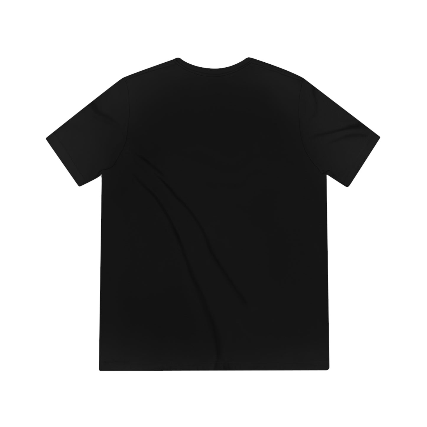 Access Walk - charcoal Triblend t-shirt