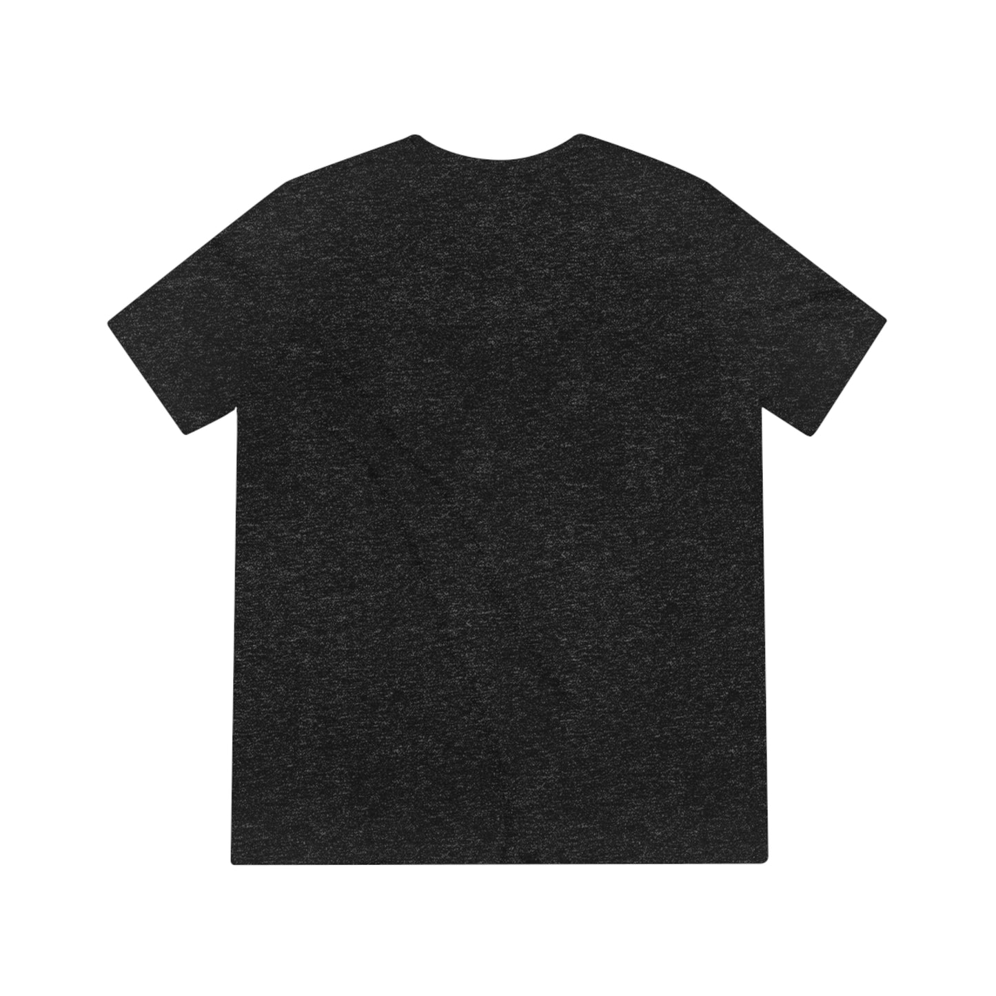 Access Walk - charcoal Triblend t-shirt