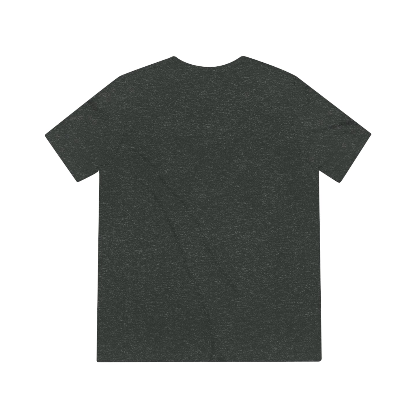 Access Walk - charcoal Triblend t-shirt