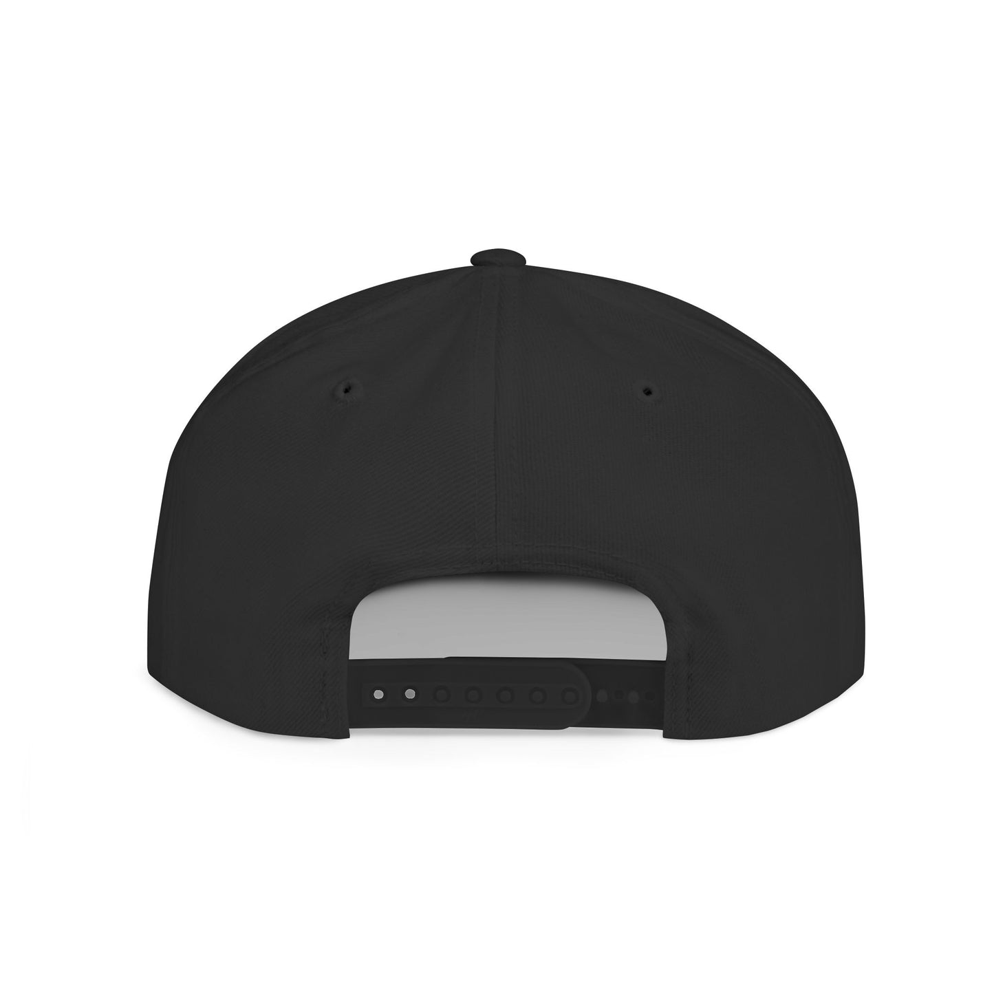 Make Access Great Again Parody Snapback Hat